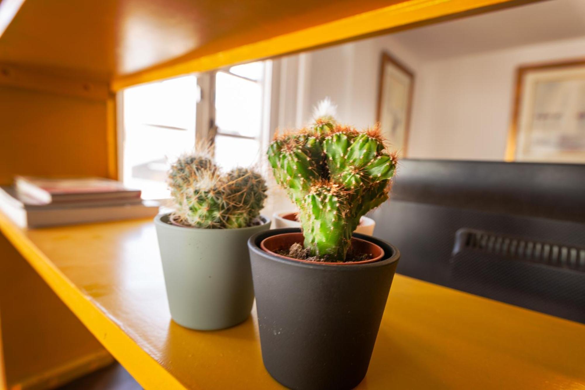 Duquesa Port Studio Apartment - Bright Sunlit Terrace マニルバ エクステリア 写真