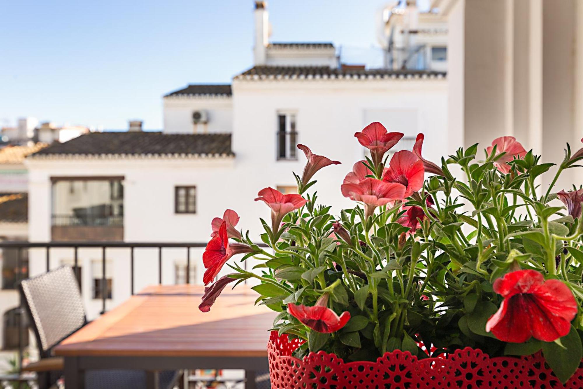 Duquesa Port Studio Apartment - Bright Sunlit Terrace マニルバ エクステリア 写真